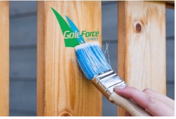 GFC Paint Brush