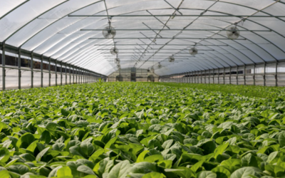 7 Ways Agribusinesses are Reducing Costs and Gaining Financial Control with a Modern ERP System