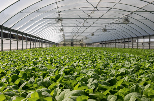 7 Ways Agribusinesses are Reducing Costs and Gaining Financial Control with a Modern ERP System